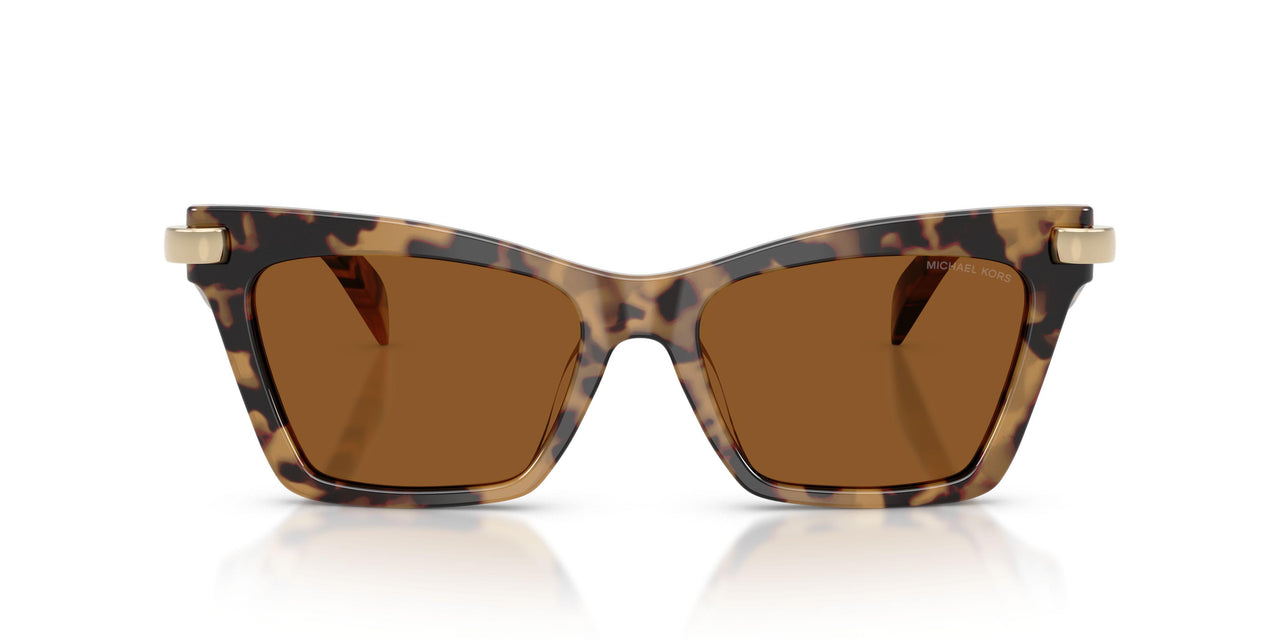 393073 - Tortoise - Amber