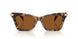393073 - Tortoise - Amber