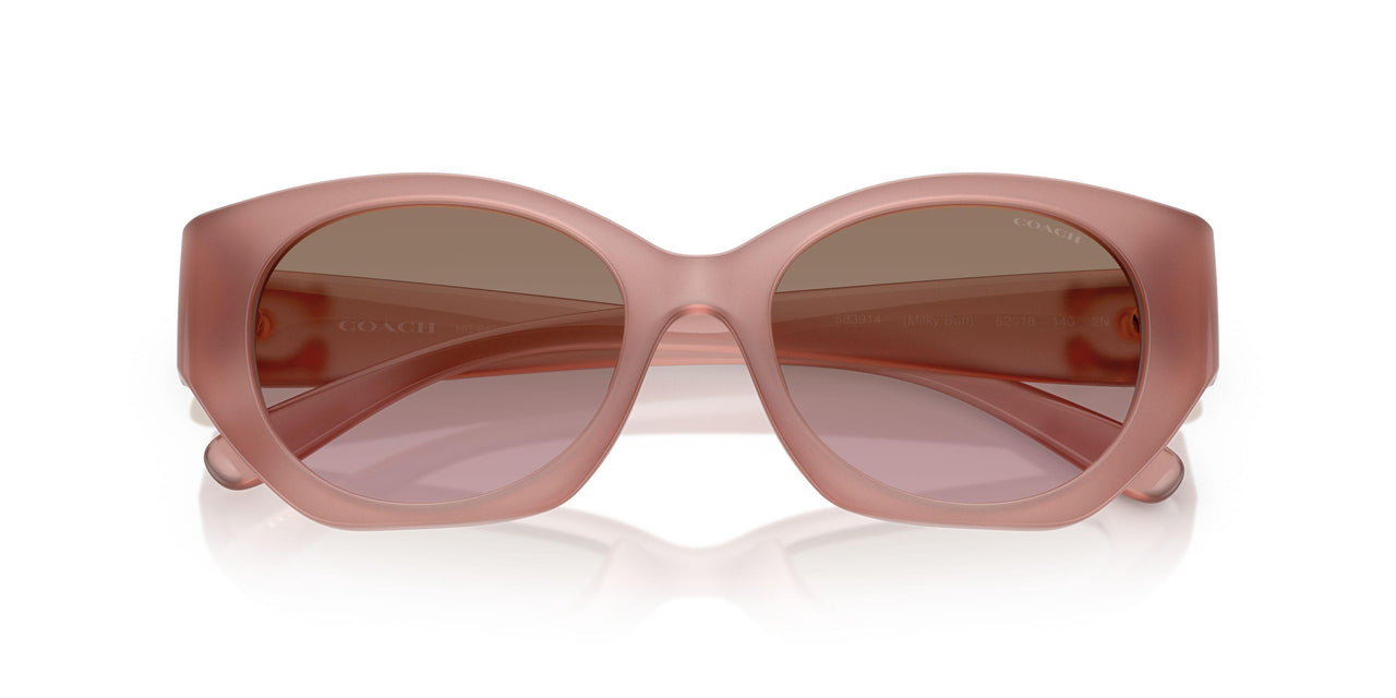 583914 - Pink - Brown Rose Gradient