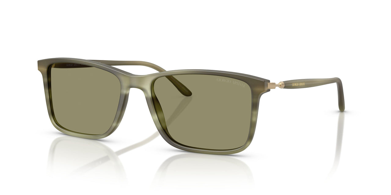 61682A - Tortoise - Green