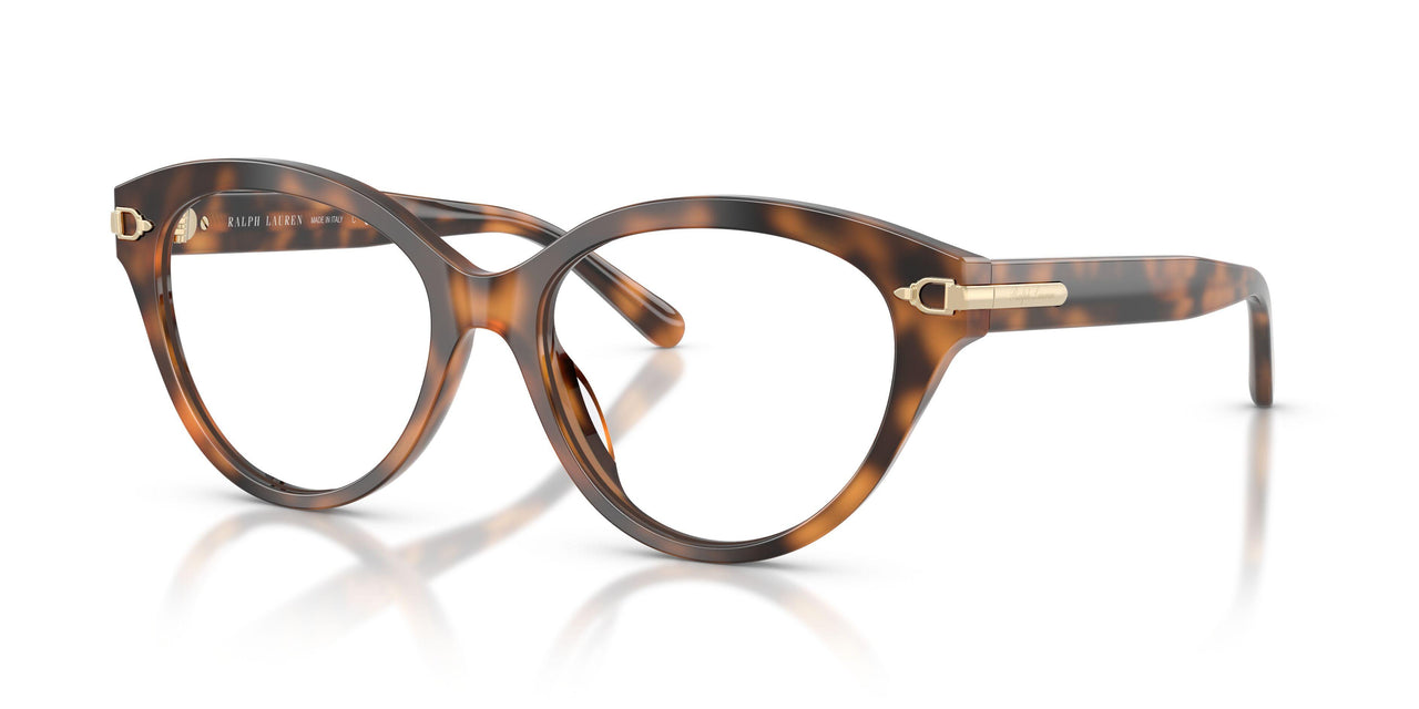 6089 - Tortoise