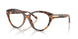 6089 - Tortoise