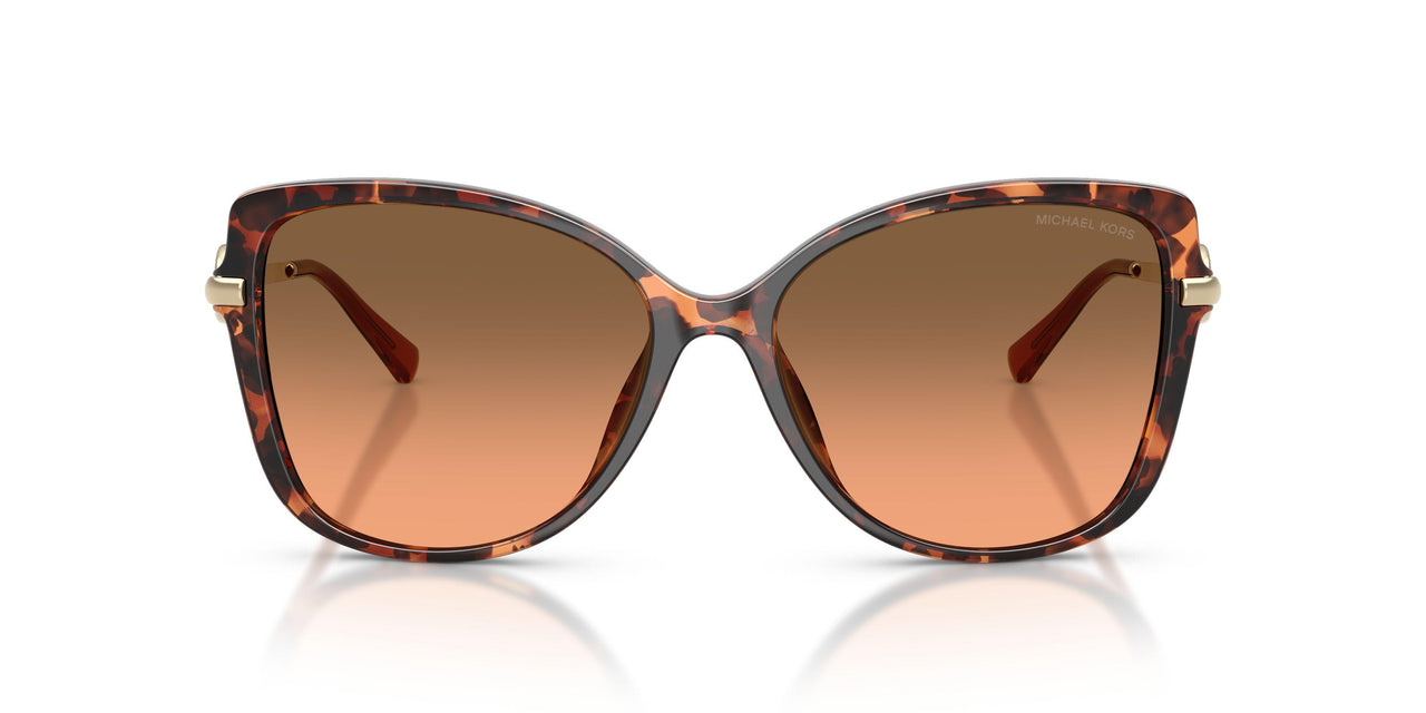 403118 - Tortoise - Orange Gradient Light Grey