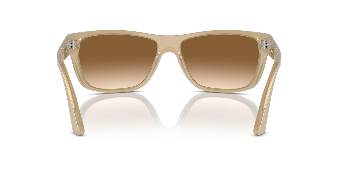 116951 - Brown - Clear Gradient Brown