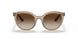 294013 - Light Brown - Brown Gradient