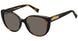 0DXH-IR - Havana Bwglgd - Gray Blue