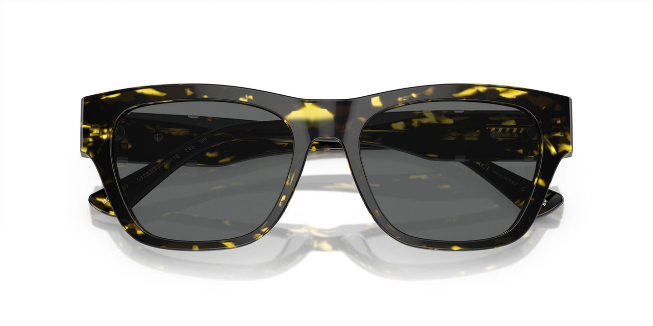 542887 - Tortoise - Dark Grey