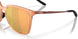 948004 - Brown - Prizm Rose Gold Polarized