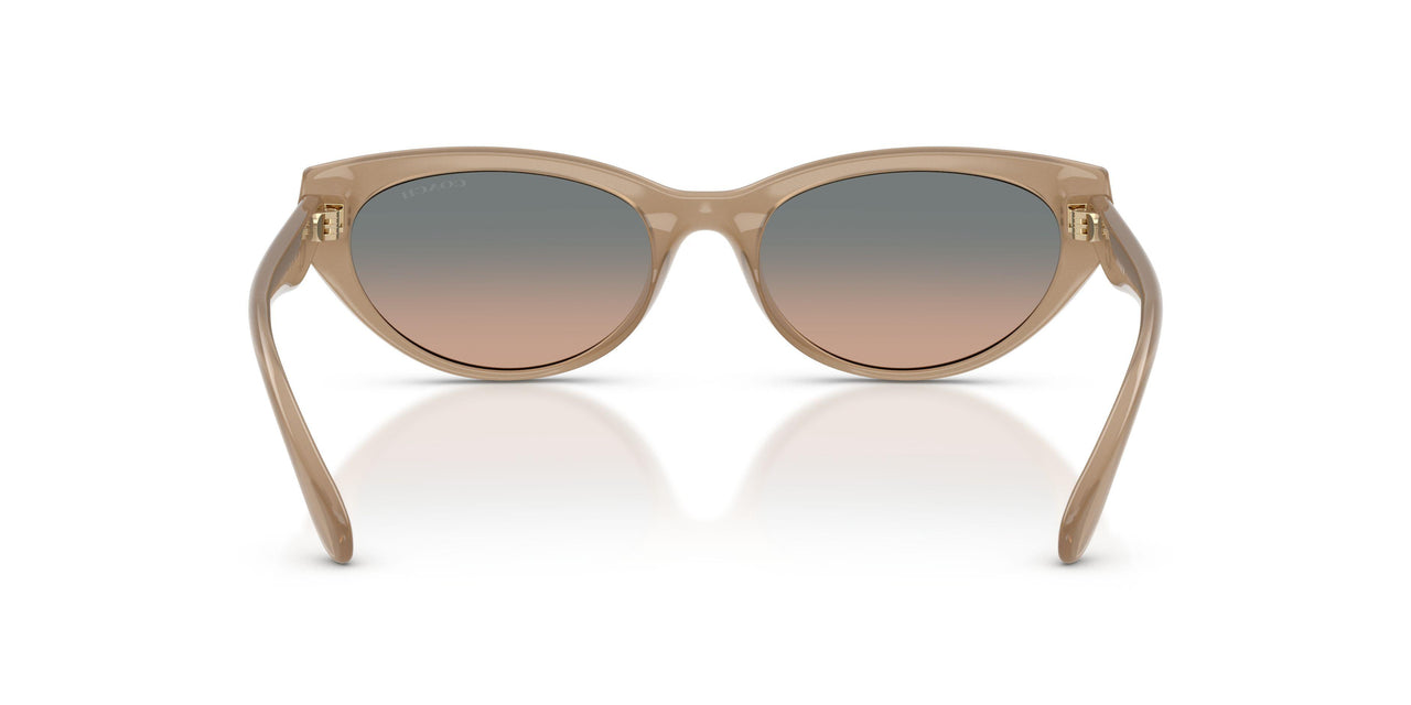 594413 - Brown - Green Sand