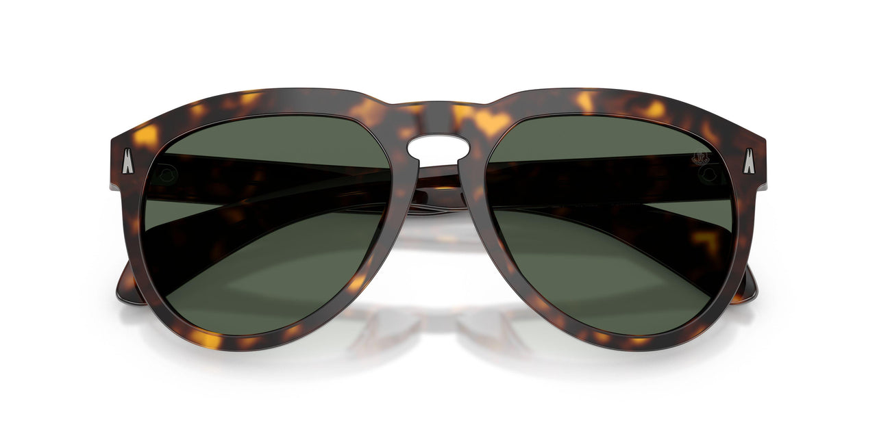 300271 - Tortoise - Solid Dark Green