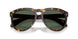 300271 - Tortoise - Solid Dark Green