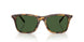 633971 - Tortoise - Bottle Green