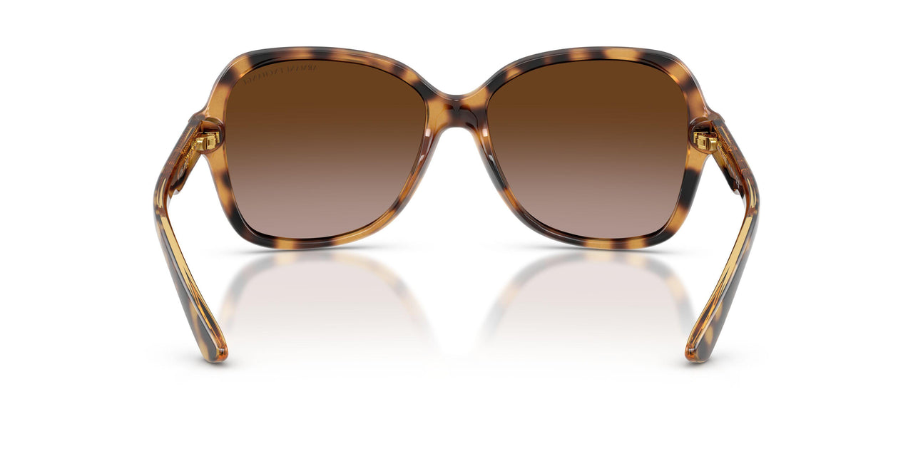 811713 - Havana - Dark Brown Gradient
