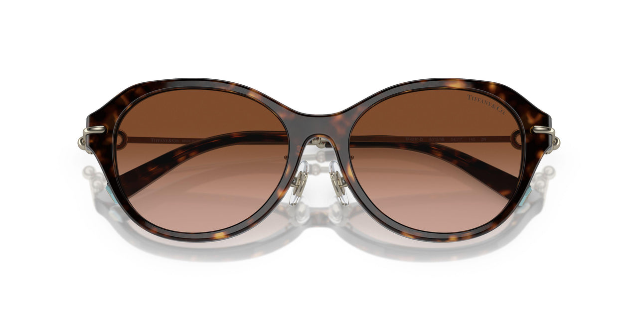80153B - Tortoise - Brown Gradient
