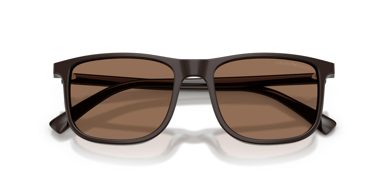 645273 - Brown - Dark Brown