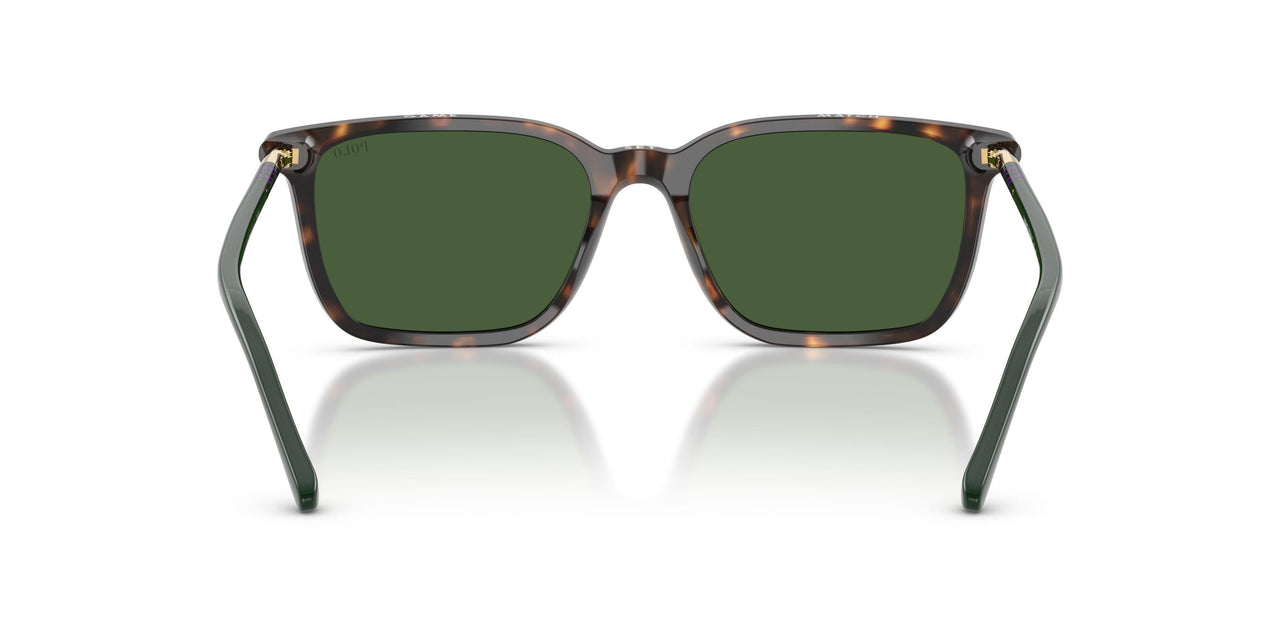 567371 - Tortoise - Bottle Green