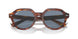 954/62 - Brown - Blue