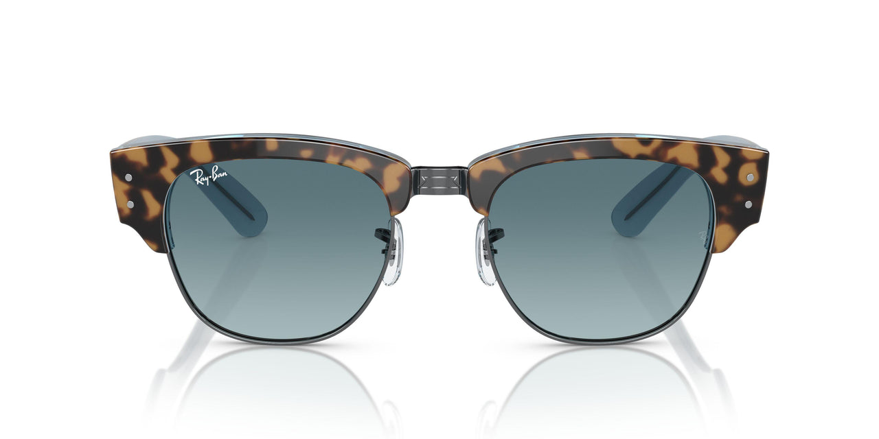 13163M - Tortoise - Blue