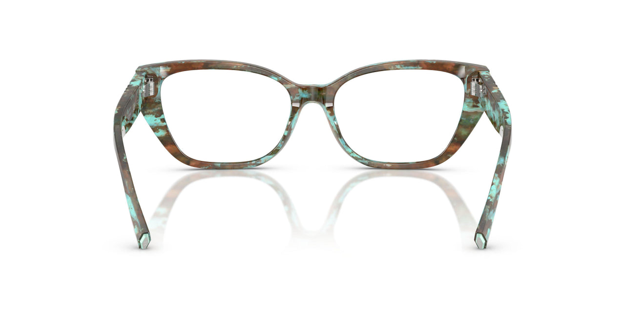 8422 - Tortoise