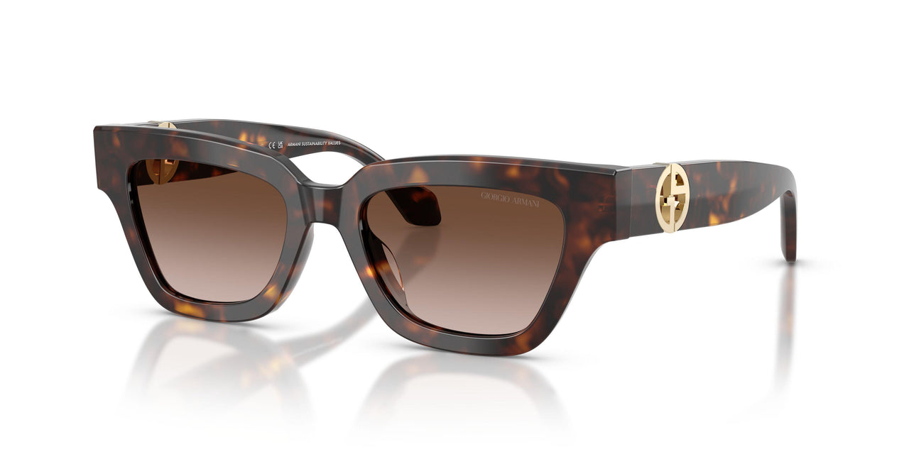587913 - Tortoise - Gradient Brown