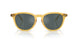50053R - Tortoise - Dark Grey Mirror Green