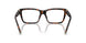 8015 - Tortoise