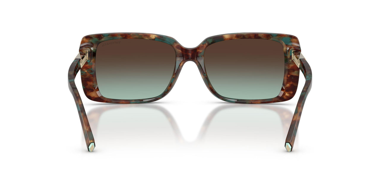 84425D - Tortoise - Azure Gradient Brown