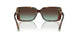 84425D - Tortoise - Azure Gradient Brown