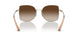 301313 - Gold - Gradient Brown