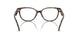 1964 - Tortoise