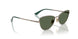 51389A - Brown - Dark Green Polar