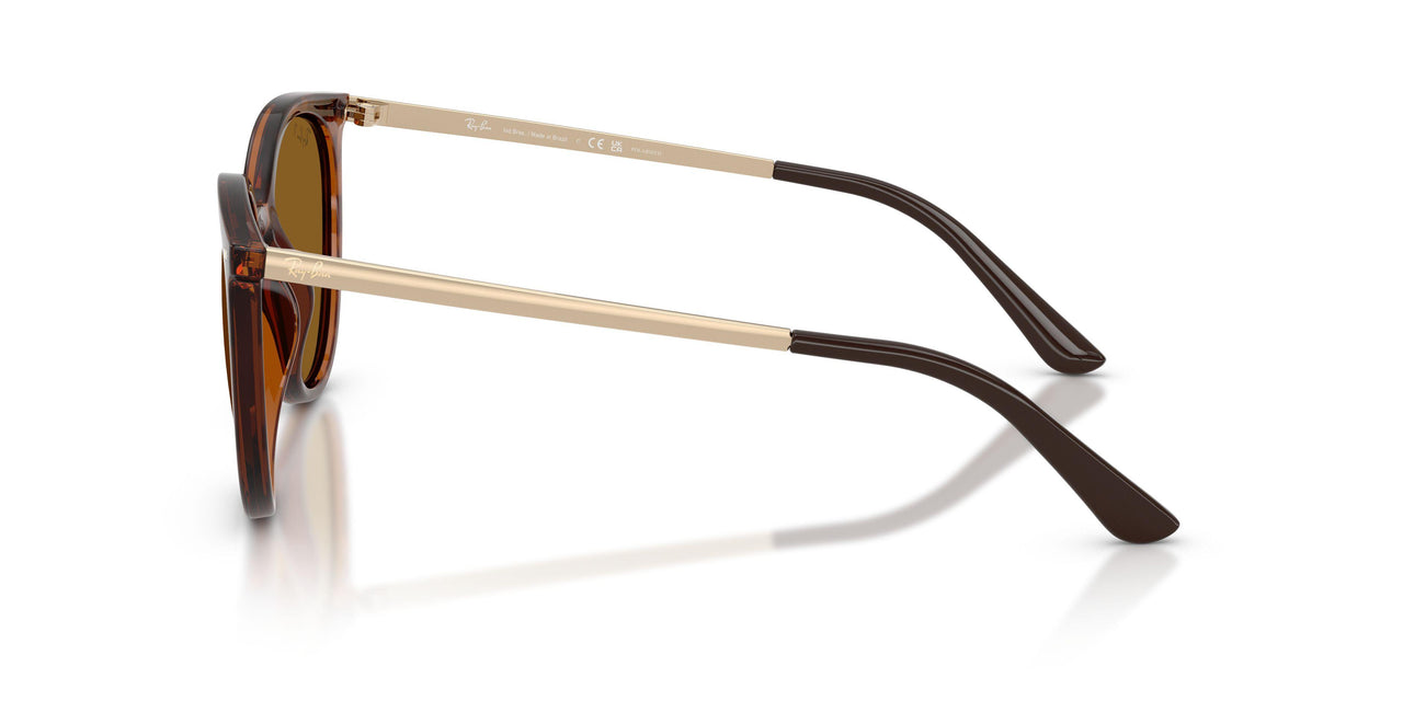 710/83 - Brown - Dark Brown Polarized