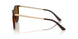 710/83 - Brown - Dark Brown Polarized