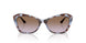 320168 - Blue - Violet Gradient Brown
