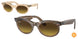 Ray-Ban Wayfarer Oval 2242 Sunglasses