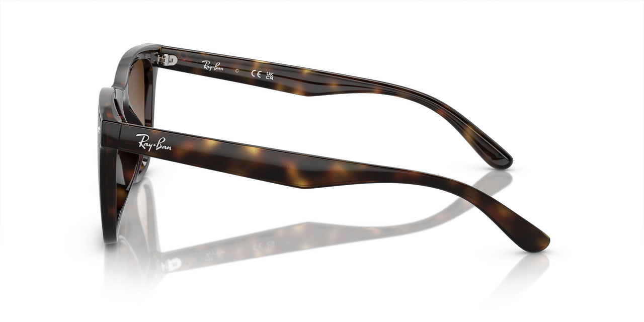 710/13 - Tortoise - Brown
