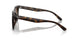 710/13 - Tortoise - Brown