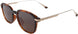 10 - Shiny Dark Havana With Gold - Hcl Bronze