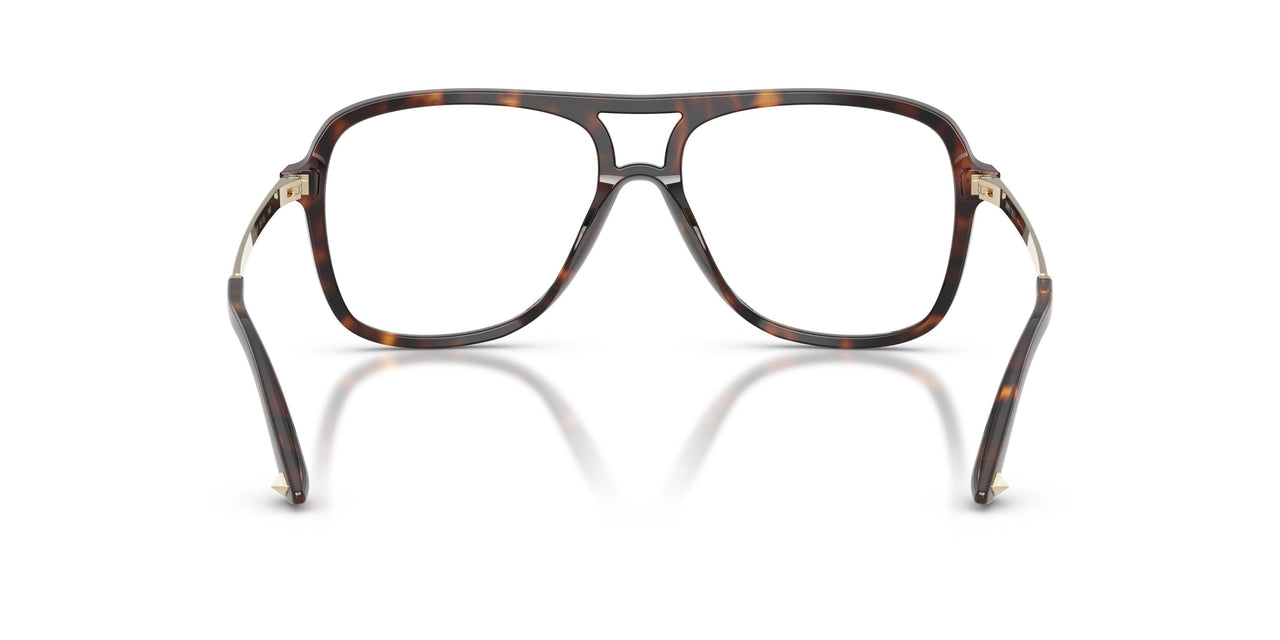 5002 - Tortoise
