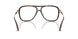 5002 - Tortoise