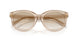 844511 - Brown - Neutral Gradient Light Grey