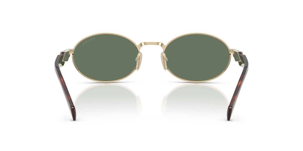 ZVN70L - Gold - Dark Green