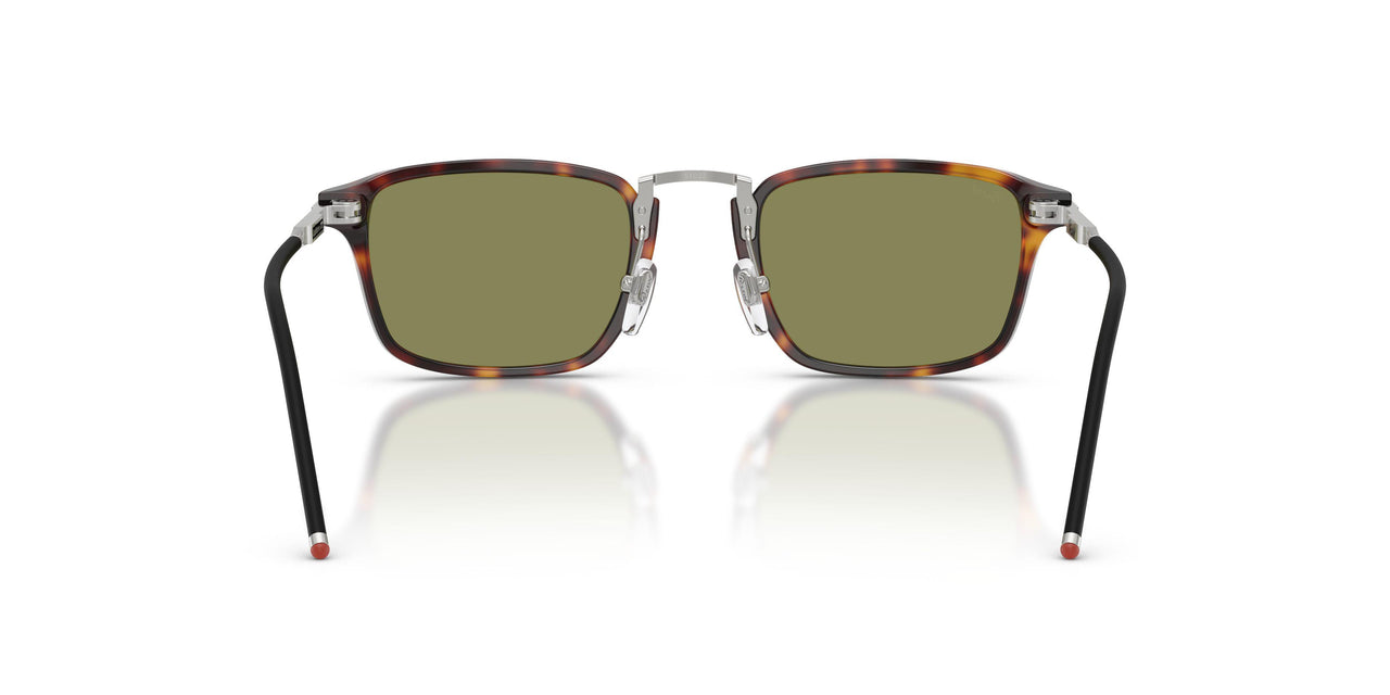 24/4E - Tortoise - Olive Green