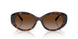 624113 - Tortoise - Gradient Brown