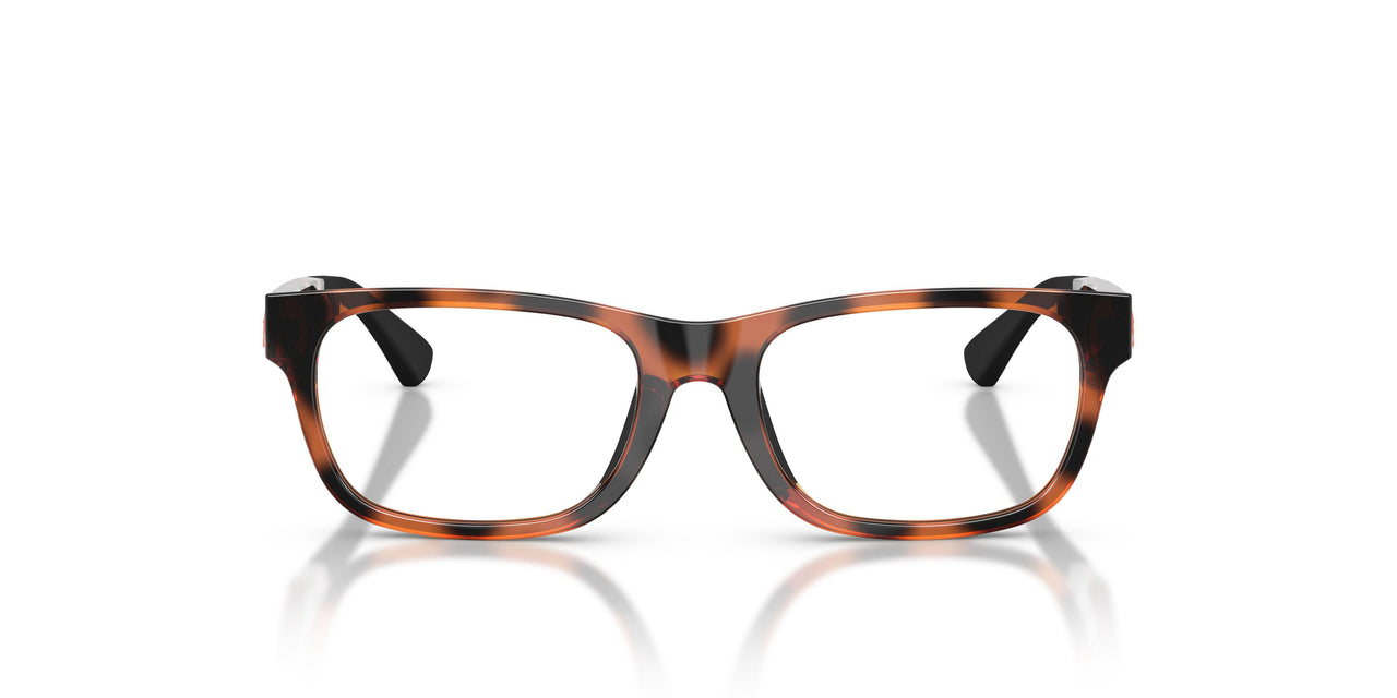 5177 - Tortoise