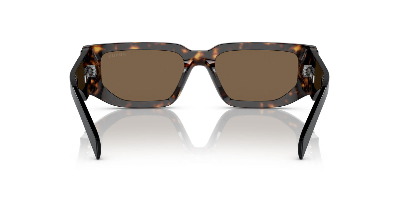 2AU06B - Havana - Dark Brown