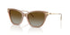 6263T5 - Brown - Gradient Brown Polar