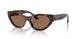 500273 - Tortoise - Dark Brown
