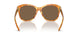 605173 - Tortoise - Brown