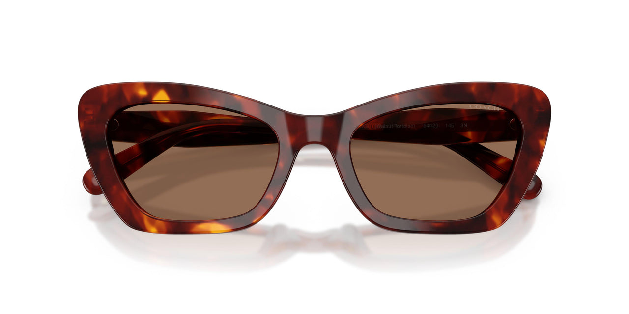 593873 - Tortoise - Brown Solid